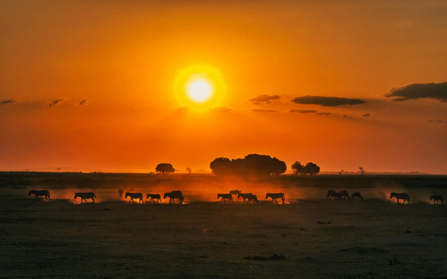 Viaggio di gruppo in Kenya