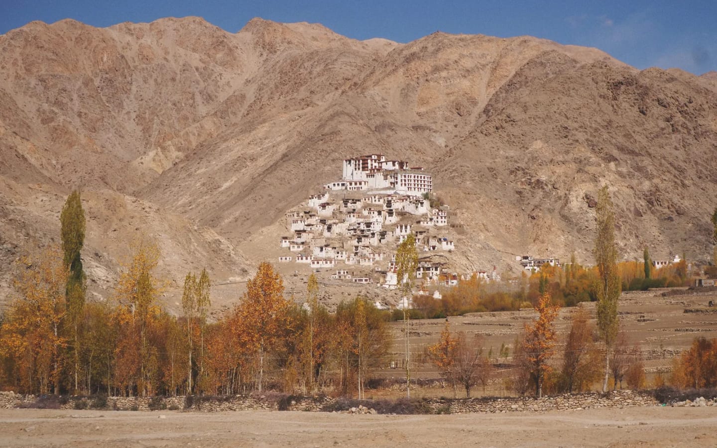 Viaggio di gruppo in India Ladakh
