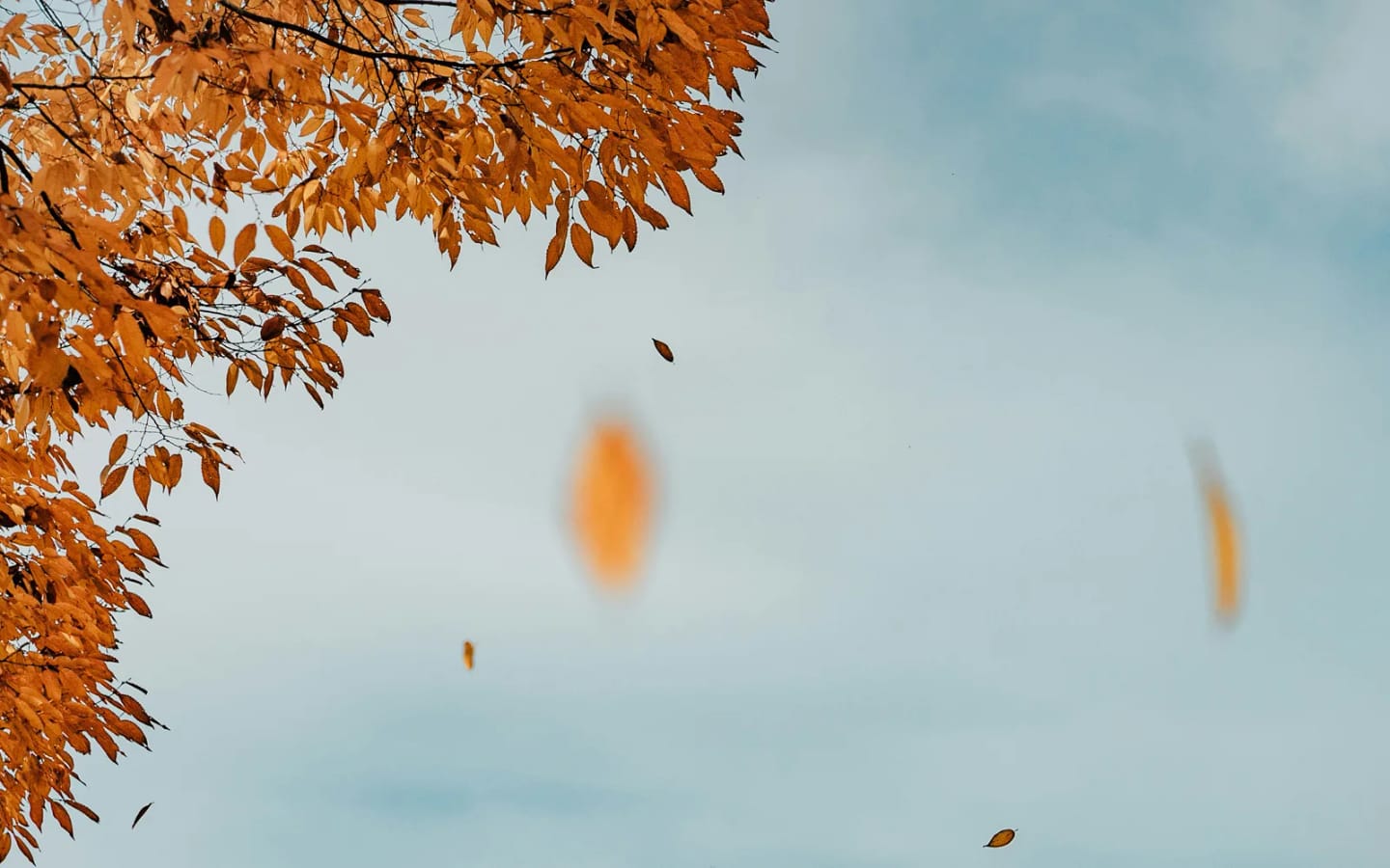 Viaggi di gruppo in Autunno