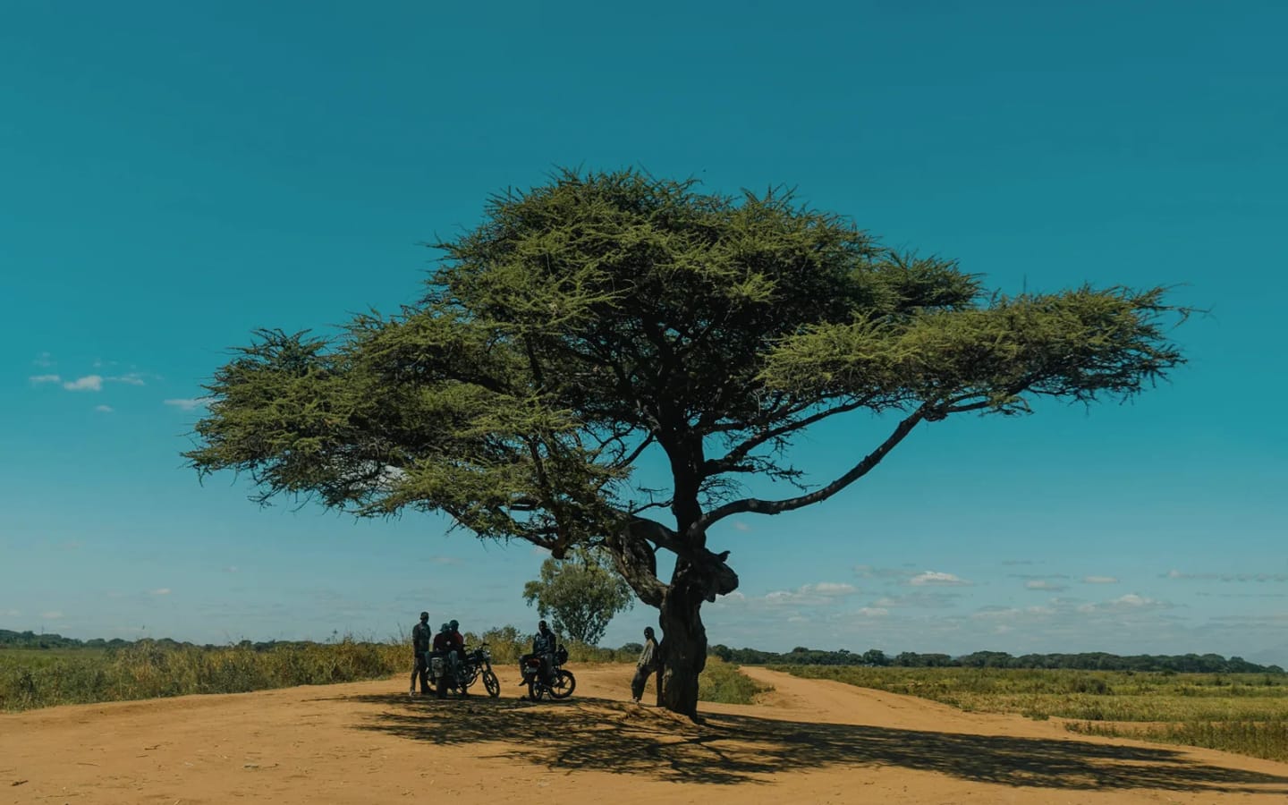 Viaggio di gruppo solidale Uganda e gorilla