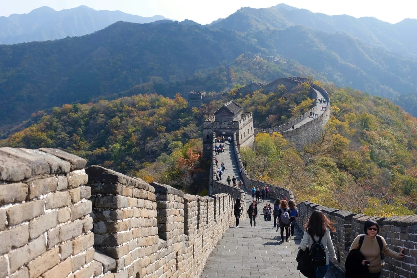 Cina