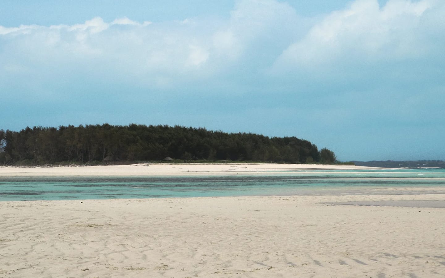 Zanzibar ad agosto: tra mare e avventura
