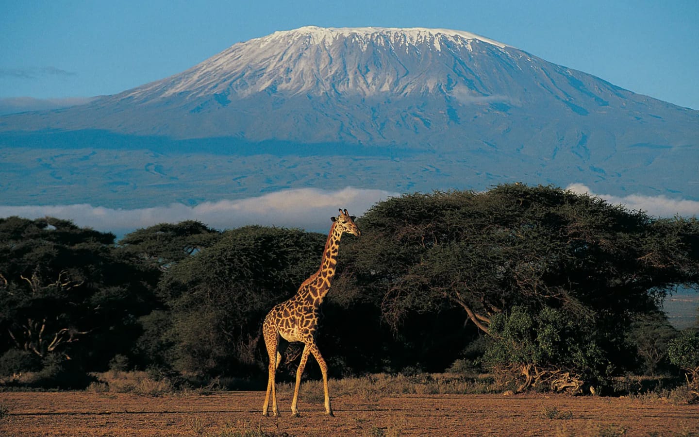 Viaggi di gruppo Kilimangiaro e Zanzibar
