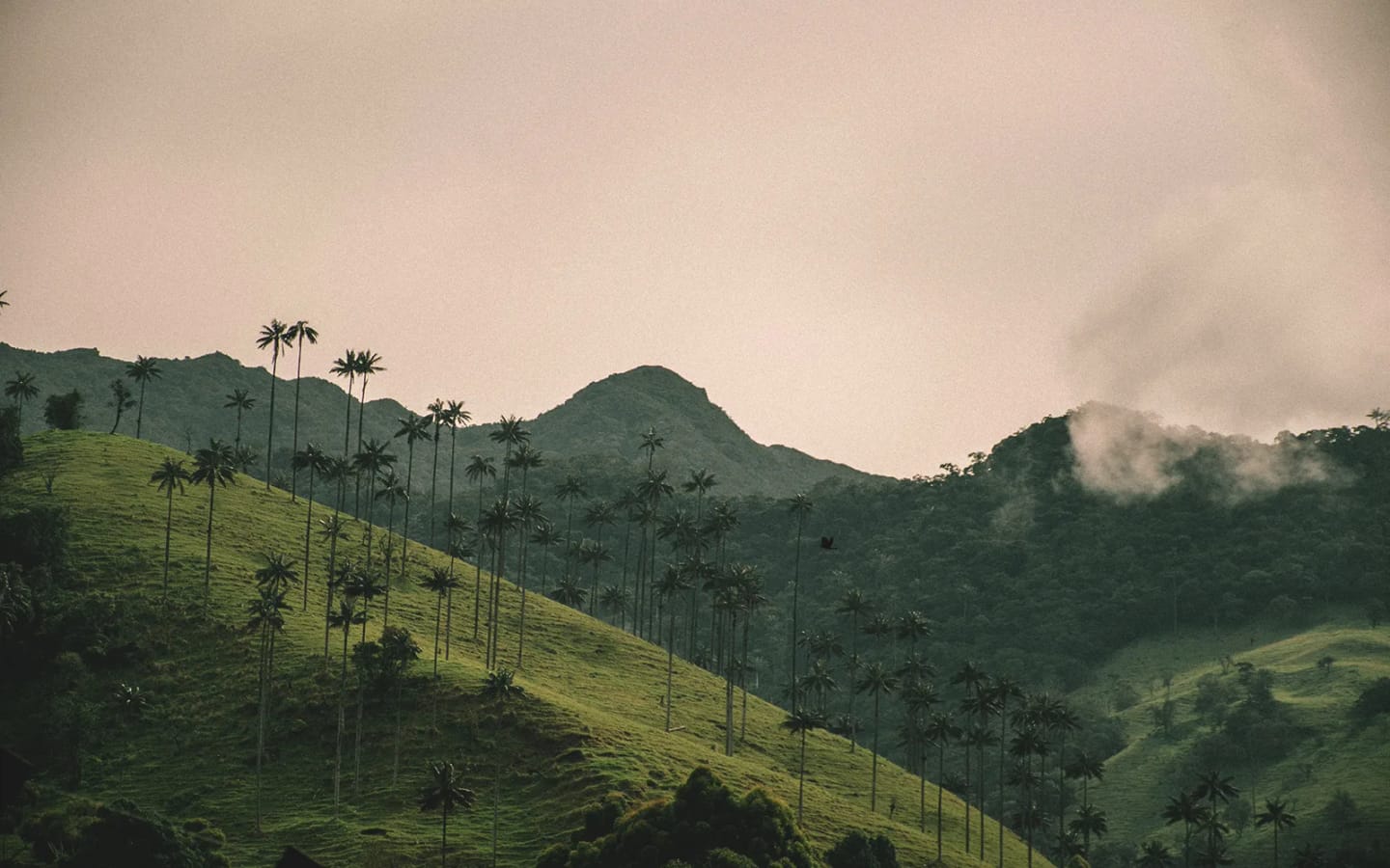 Viaggio in Colombia: natura, cultura e avventura