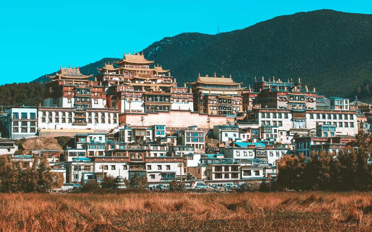Viaggio di gruppo in Cina del Sud