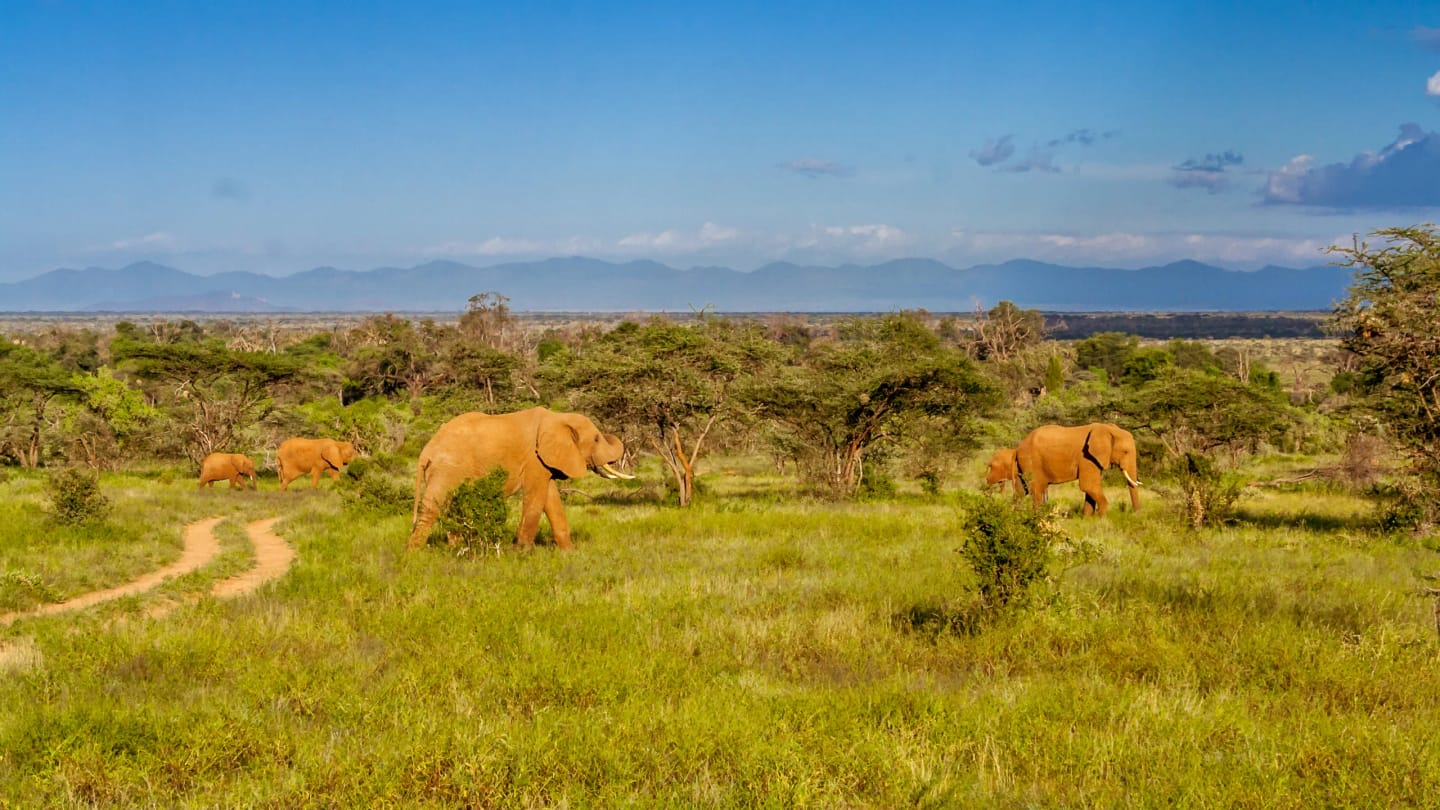Viaggio in Madagascar