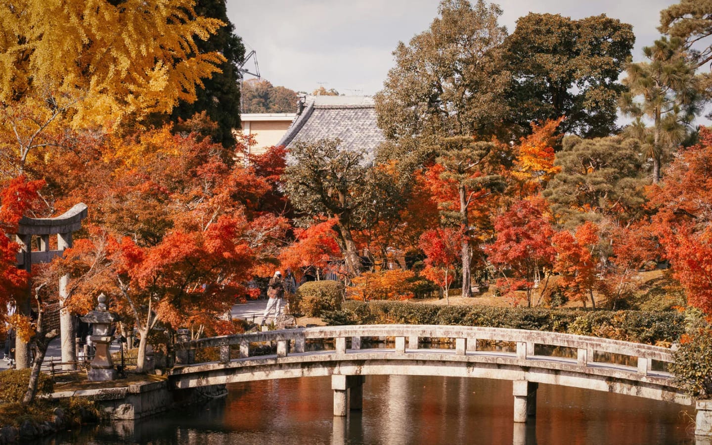 Giappone Foliage
