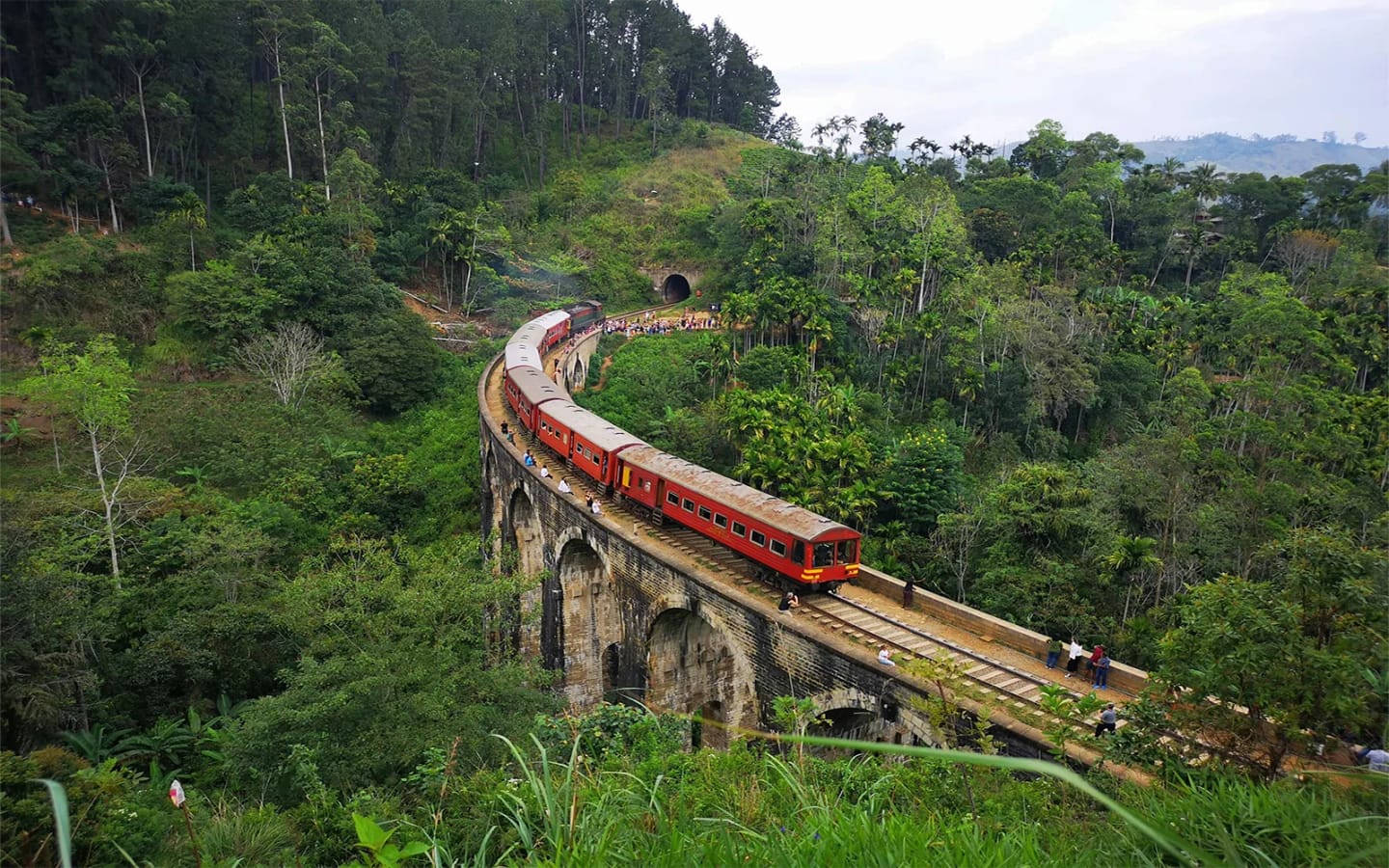 5 esperienze da vivere in Sri Lanka
