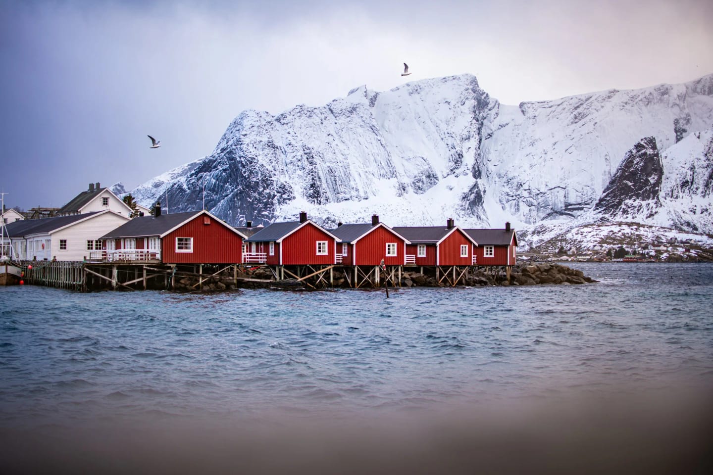Viaggio di gruppo in Norvegia e Isole Lofoten