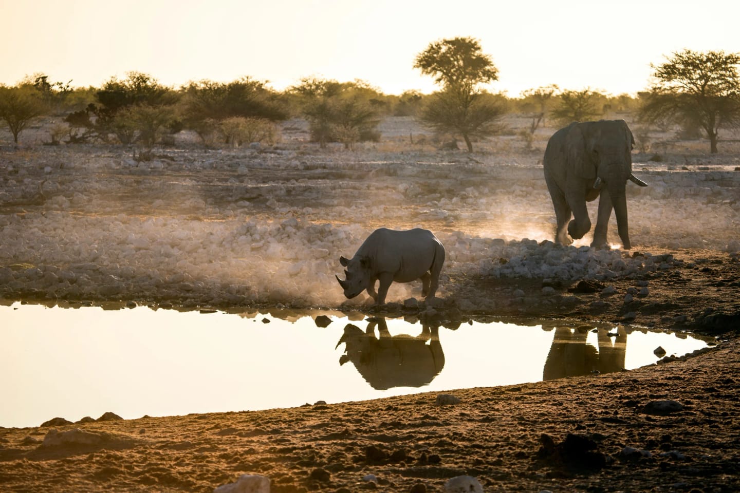 Tanzania