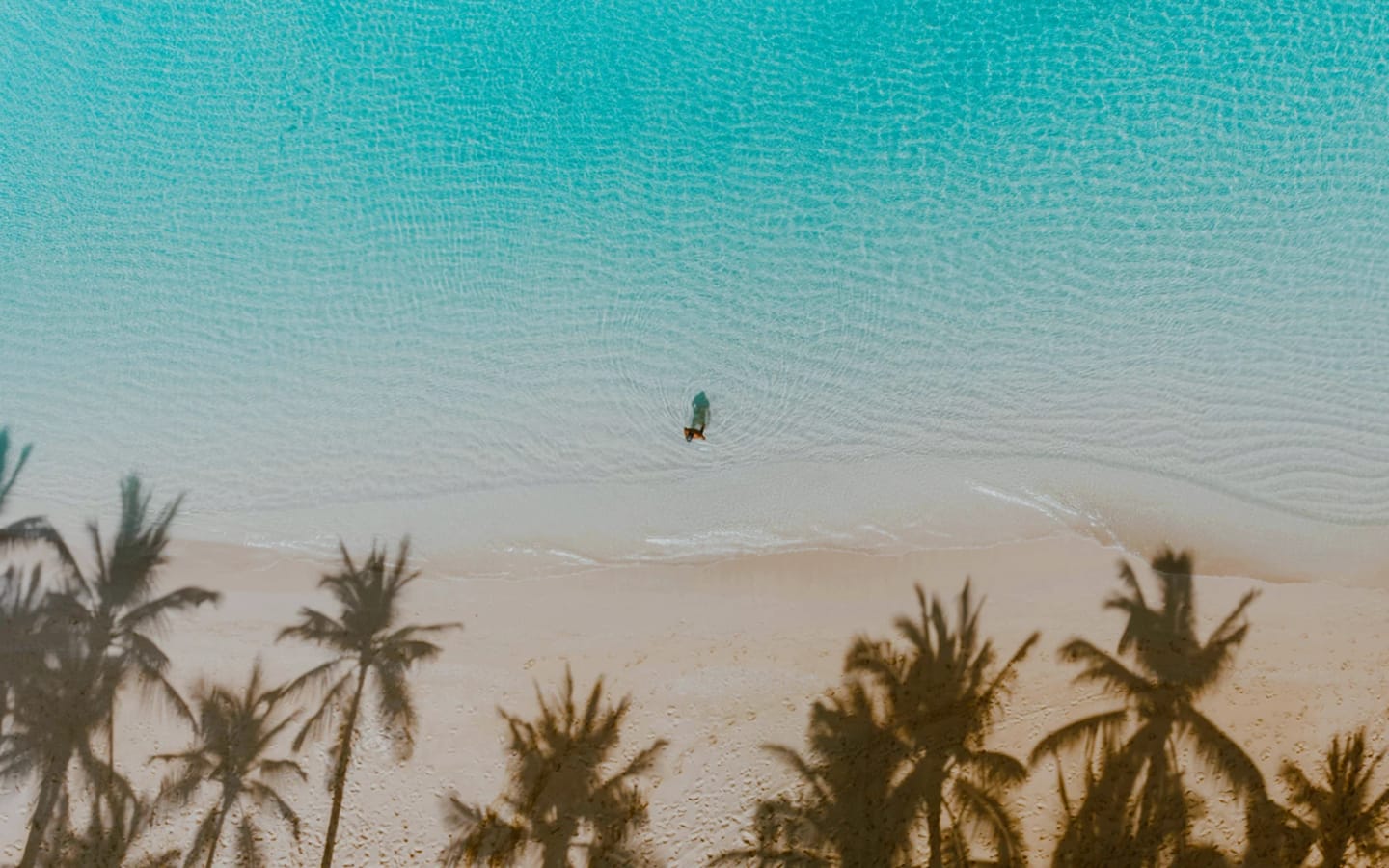 5 spiagge paradisiache da visitare alle Hawaii
