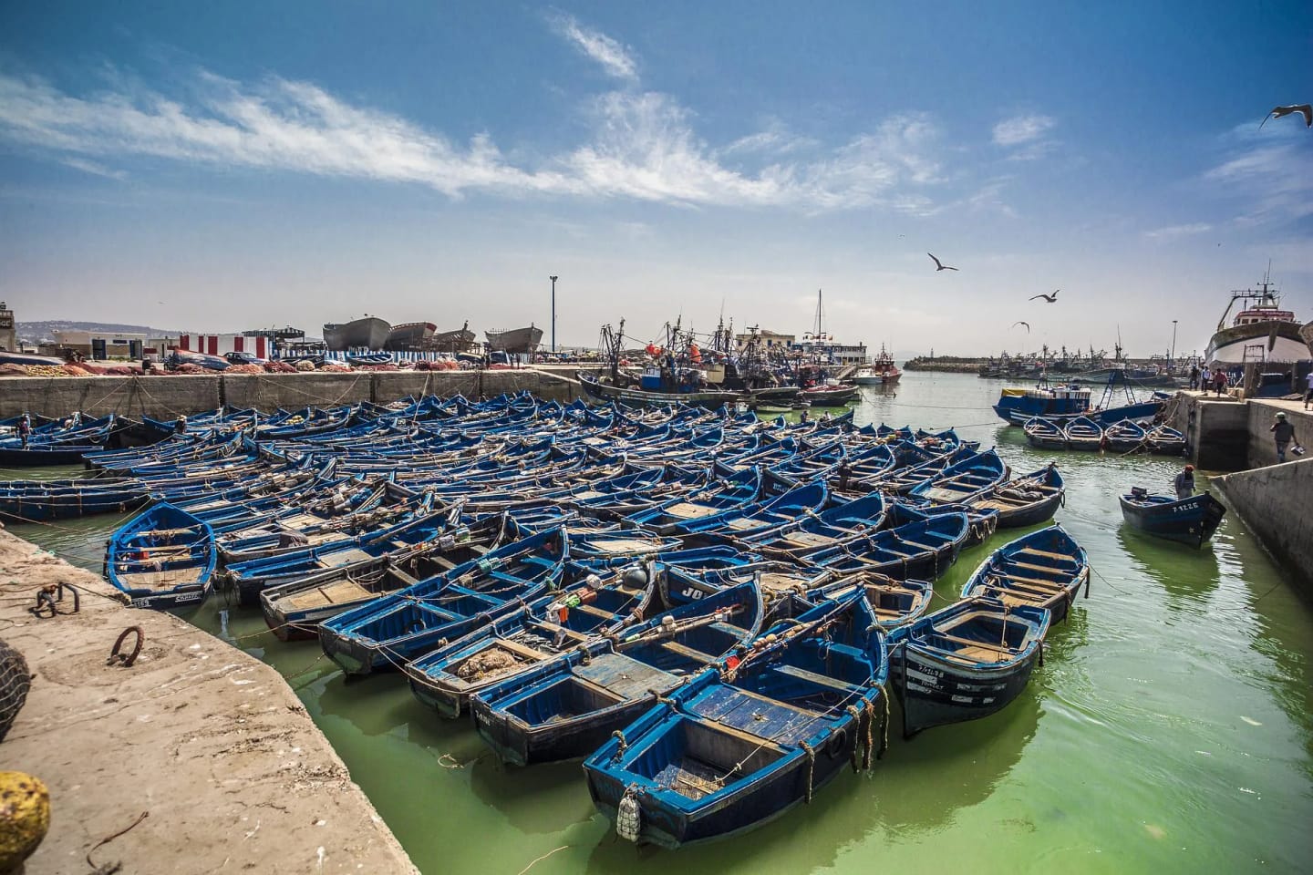 cosa-fare-essaouira