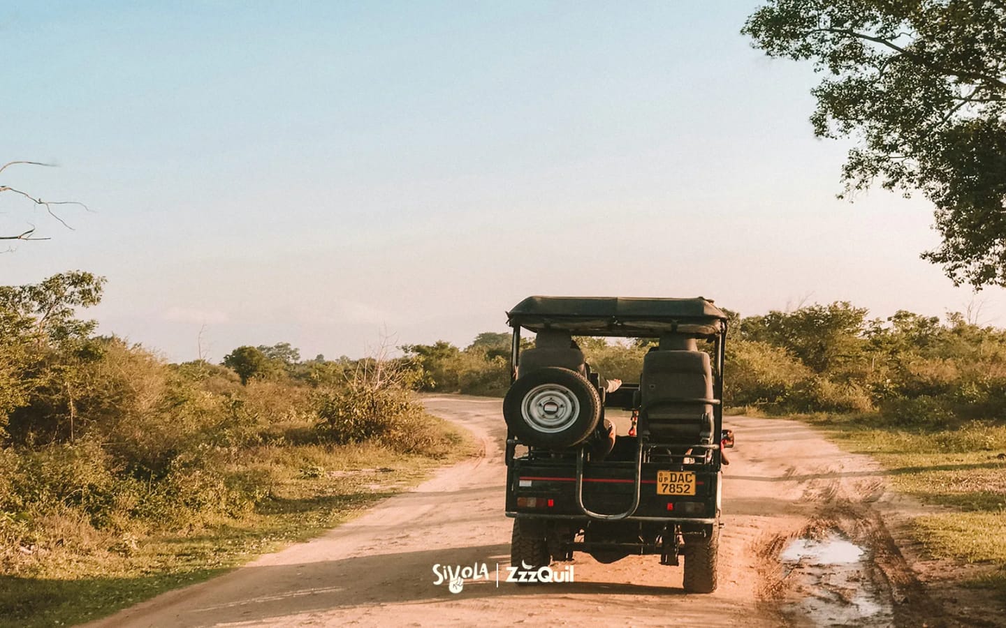 Safari on the road in Sudafrica: 5 attività imperdibili con ZzzQuil nello zaino
