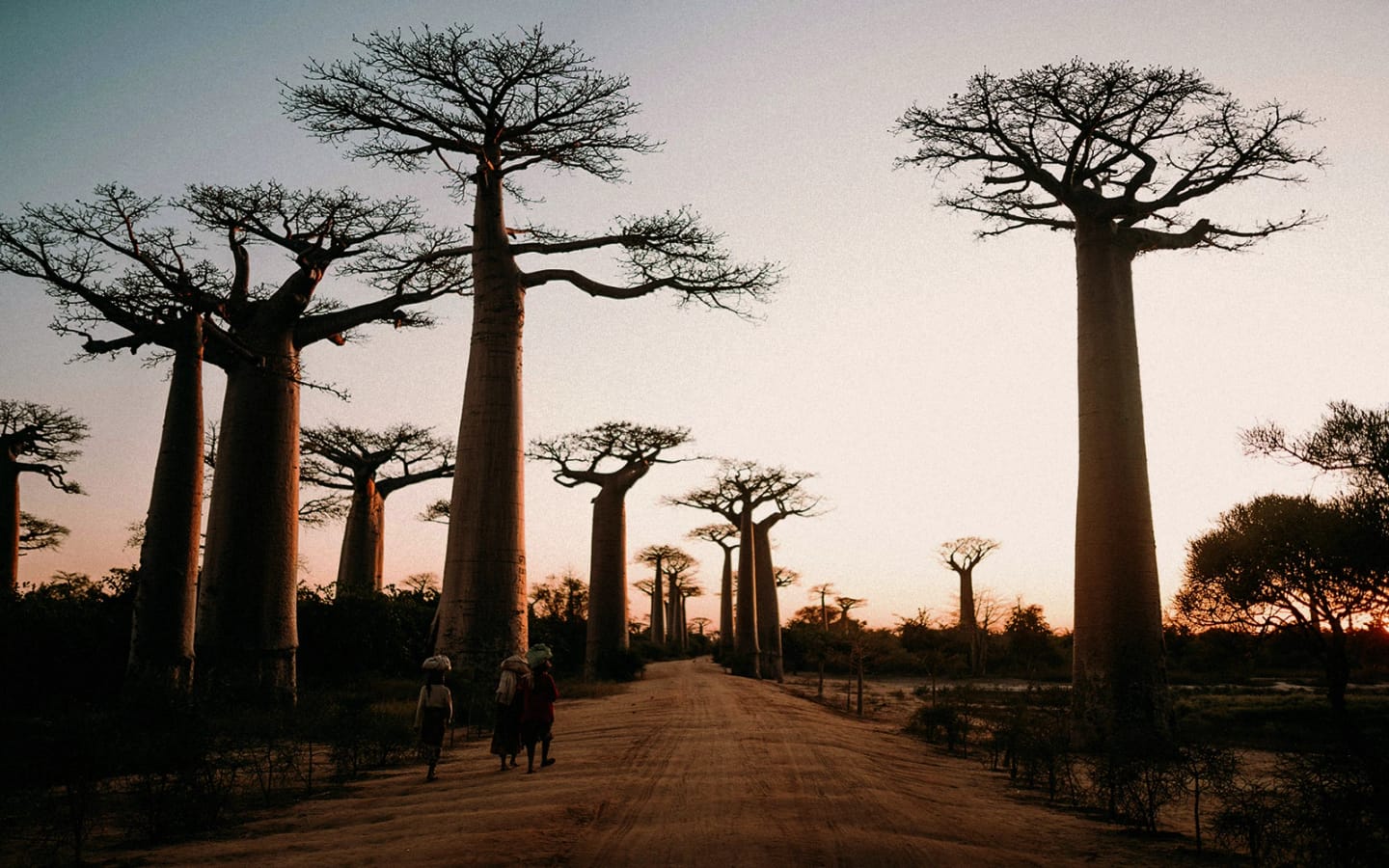 Madagascar: 5 motivi per un’avventura da vivere