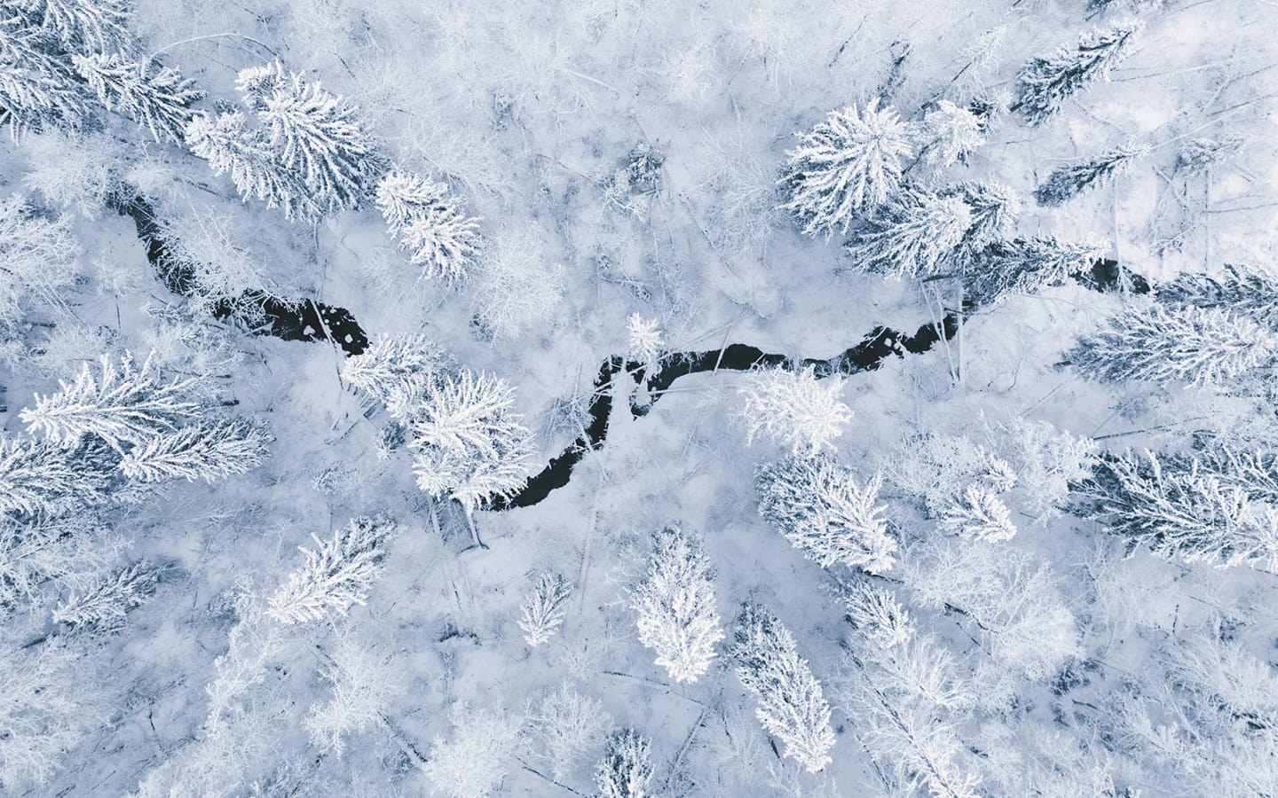 Lapponia svedese a gennaio: viaggio per scoprire il magico Nord