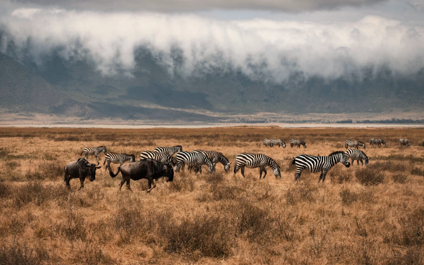 Viaggio di gruppo in Tanzania