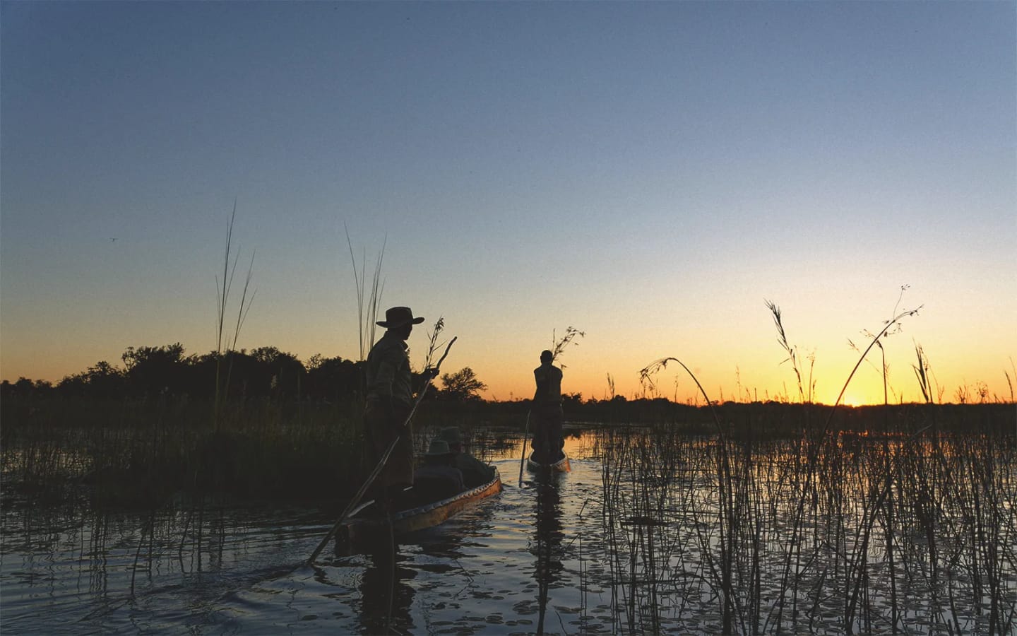 6 esperienze straordinarie in Botswana tra safari e natura