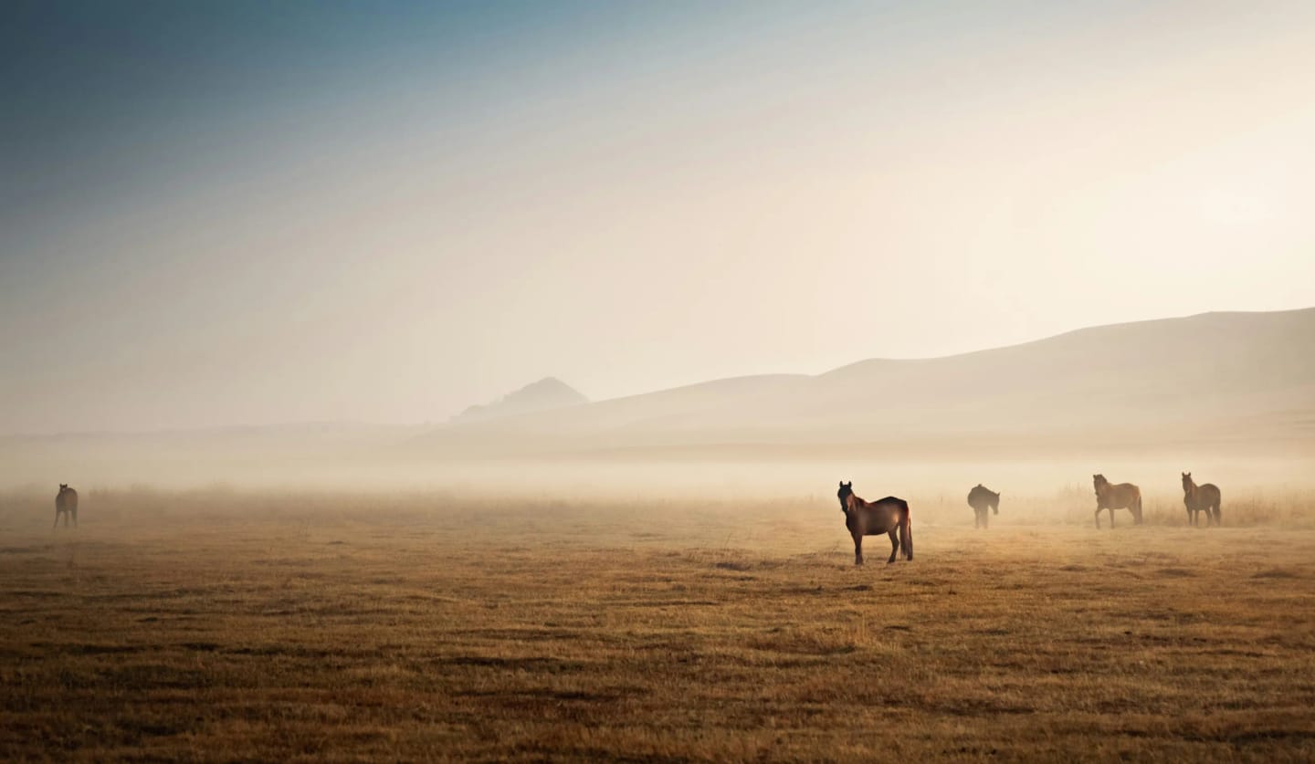 Mongolia_Melotti
