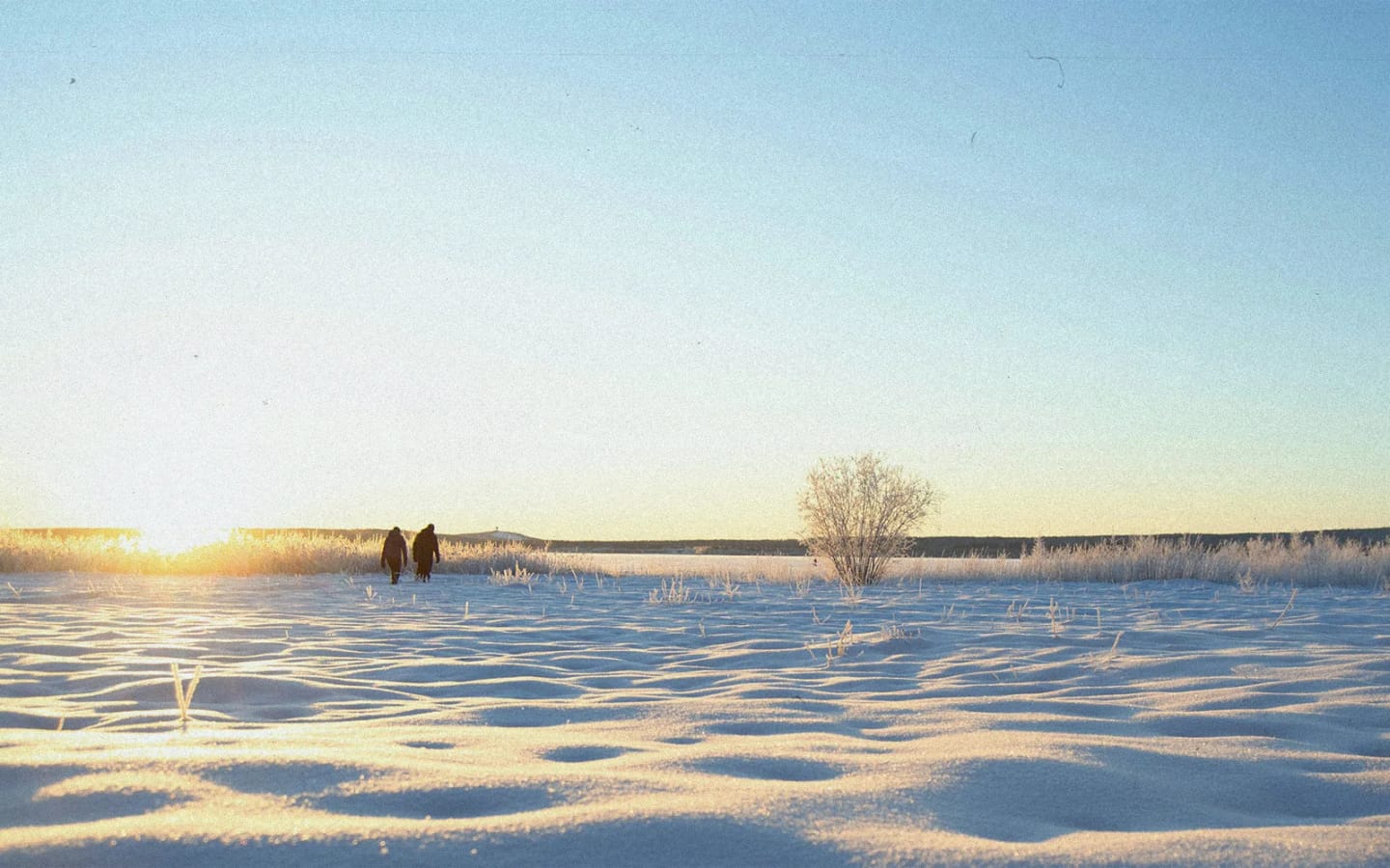 Lapponia: tra Luleå, husky safari e l'aurora-boreale