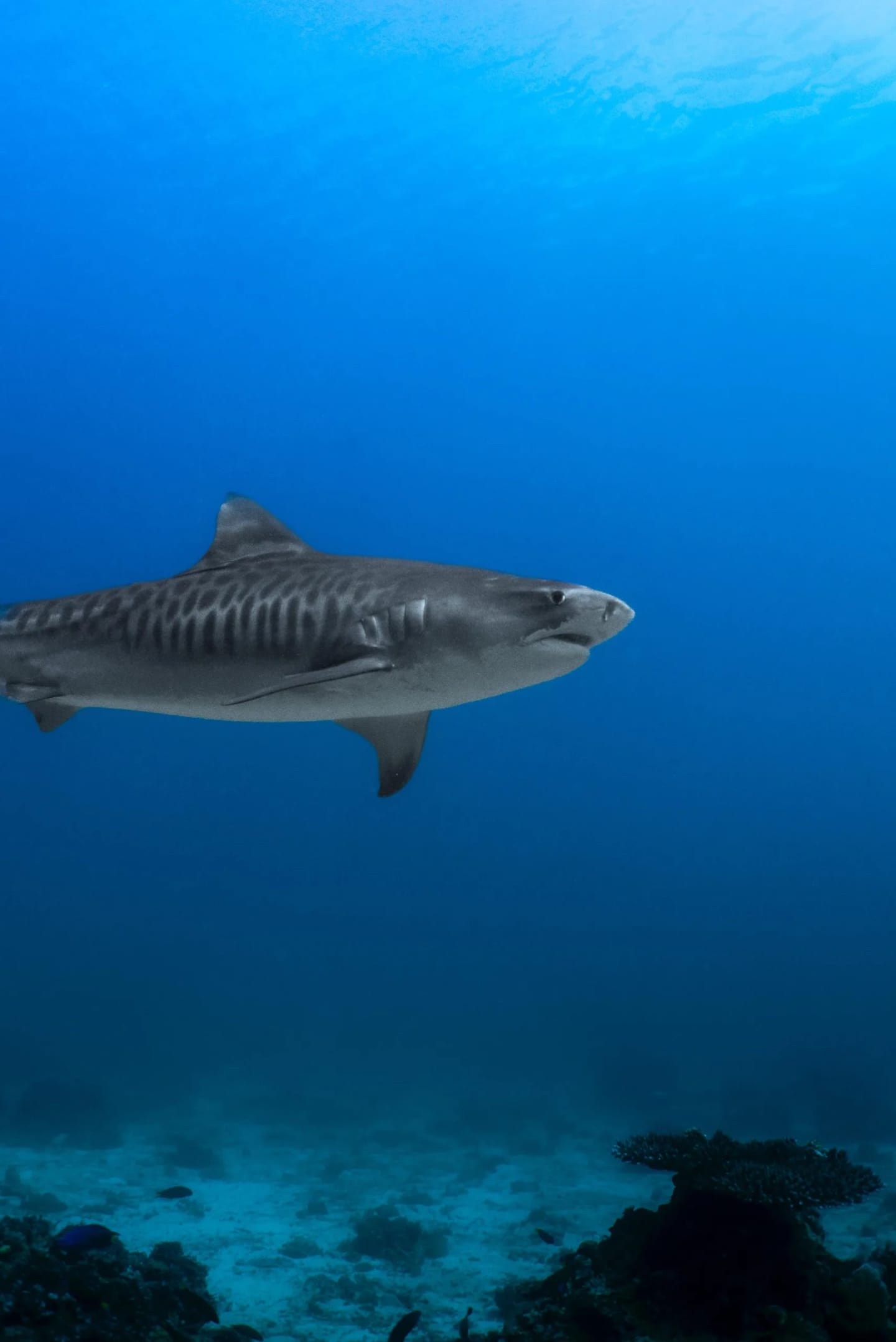 Viaggio di gruppo alle Maldive