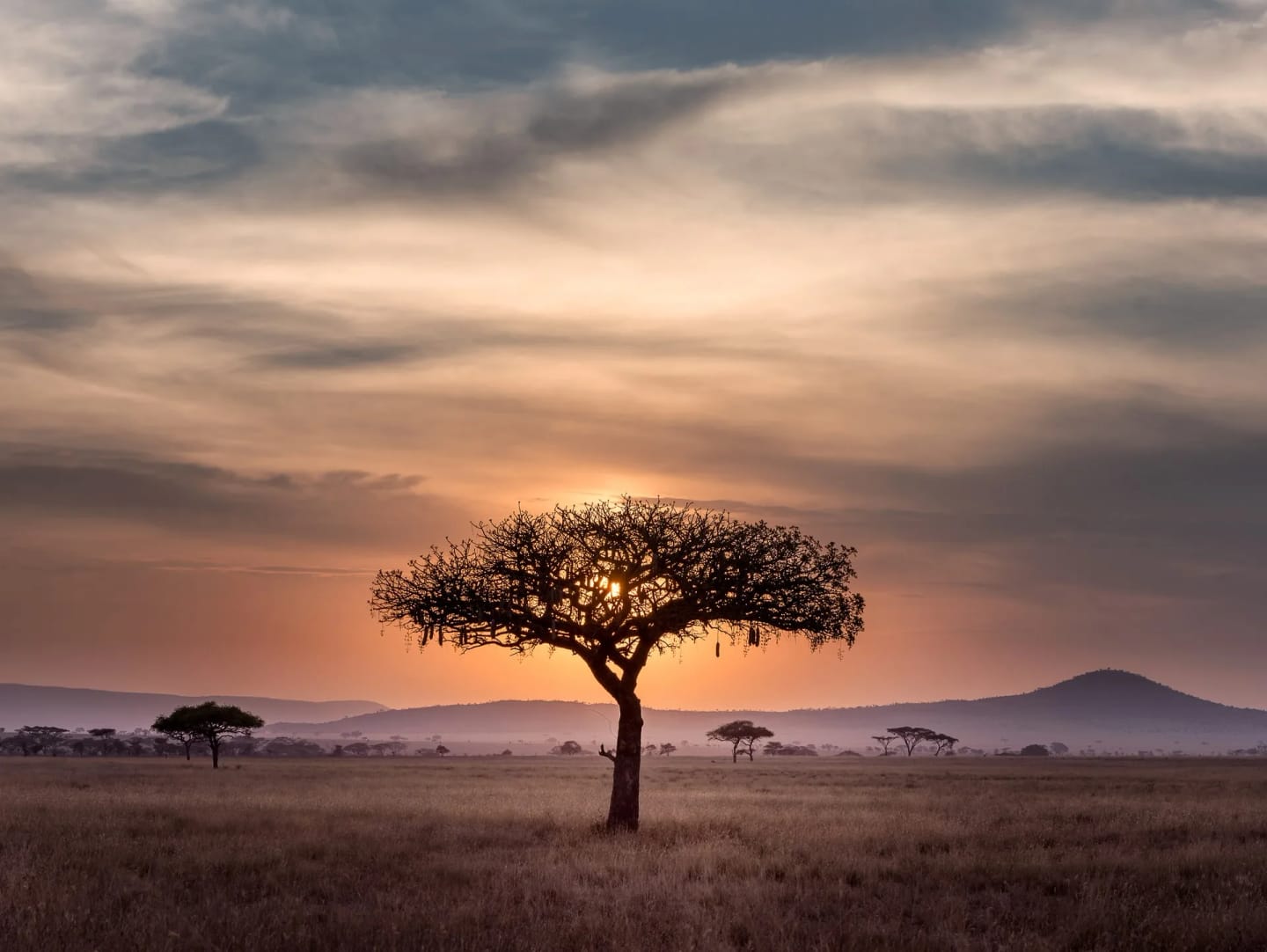 Serengeti, Tanzania