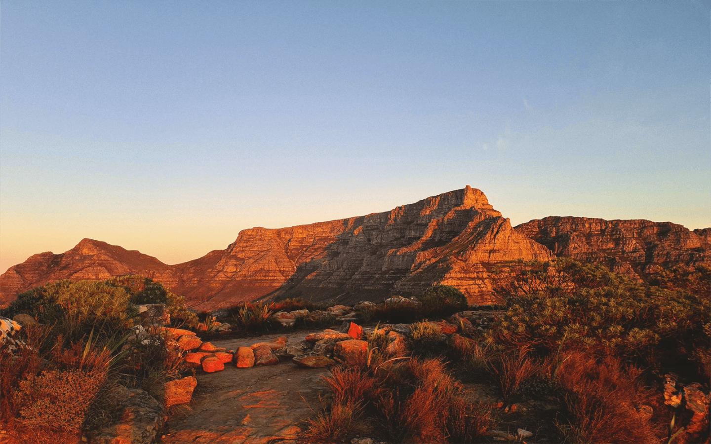 Sudafrica: i 3 periodi migliori per visitarlo al meglio