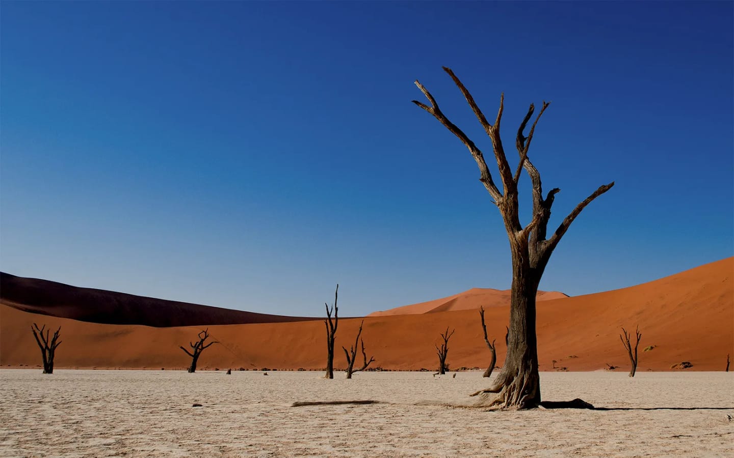 Viaggi in Africa: 7 esperienze uniche tra natura e avventura