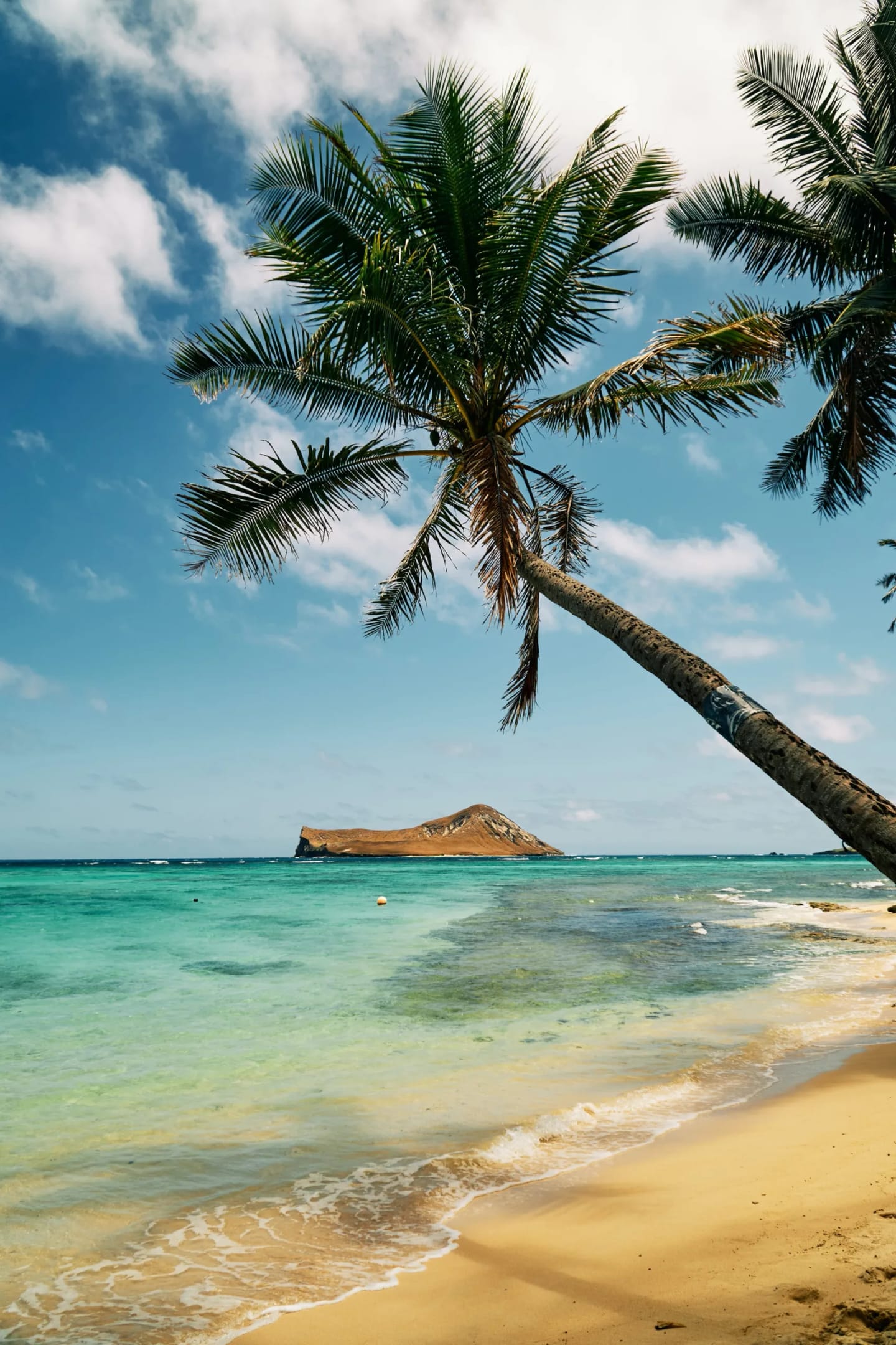 Hawaii