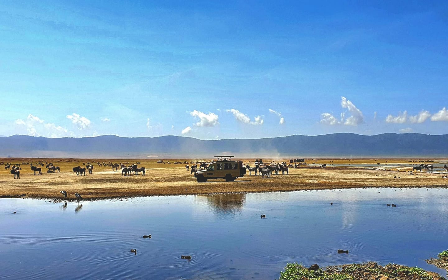 Estate in Tanzania e Zanzibar: il momento perfetto