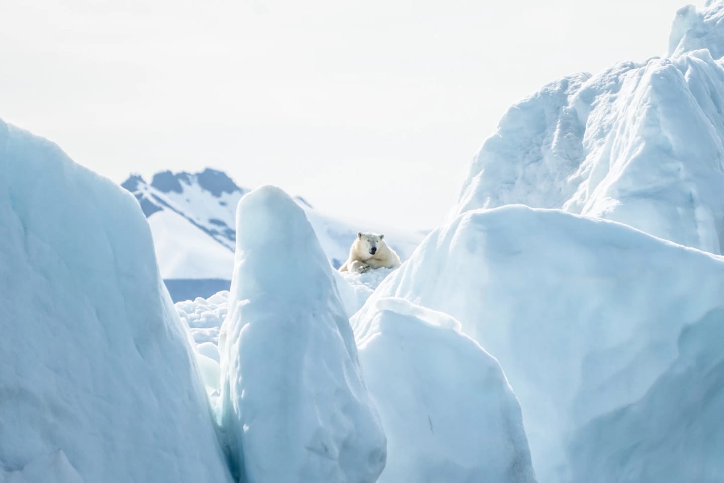 Svalbard