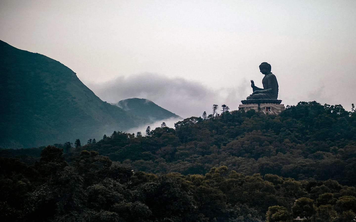 7 attività tra Hong Kong, Macau e Cina del sud: guida al viaggio