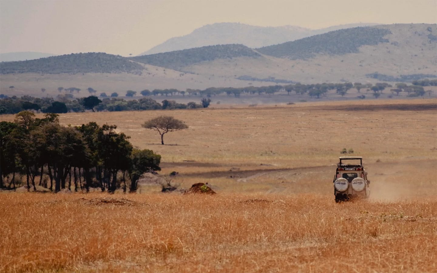 Tanzania: 8 esperienze tra avventura e natura
