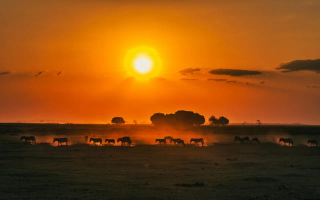 Viaggio di gruppo in Kenya