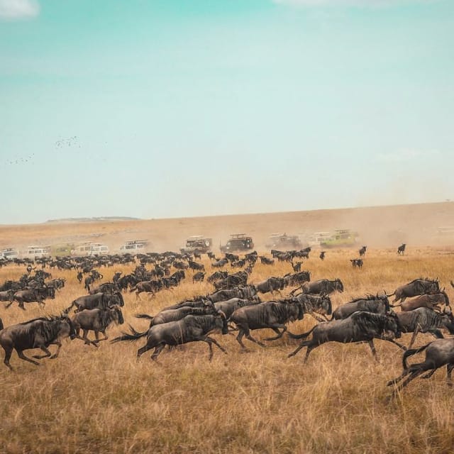 Viaggio di gruppo in Kenya