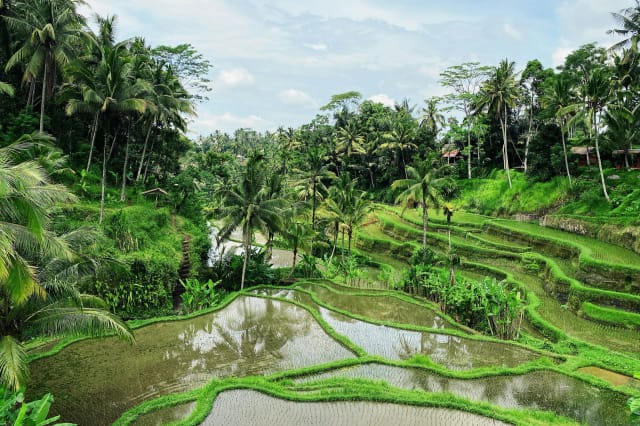 Viaggio di gruppo in Indonesia Bali e Gili