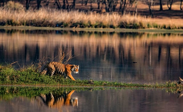Viaggio di gruppo in India