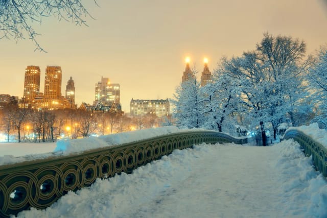 Viaggio di Gruppo a New York a Natale