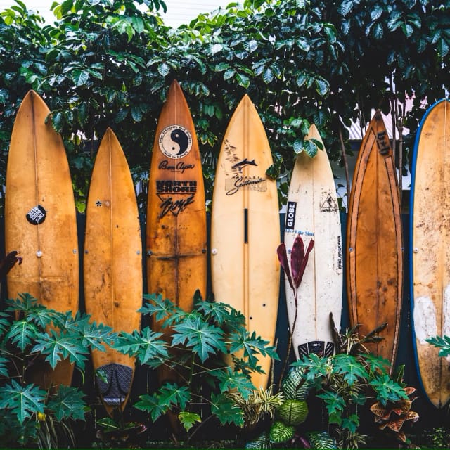 Hawaii Trekking