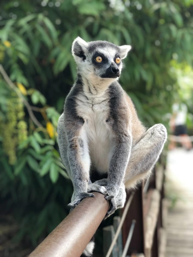 Viaggio di gruppo in Madagascar