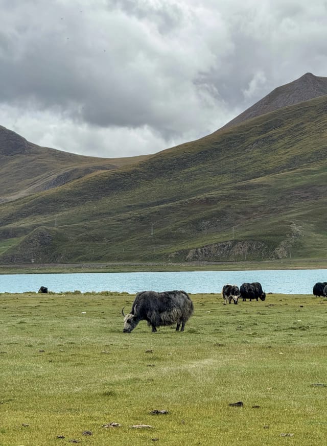 Viaggio di gruppo in Tibet