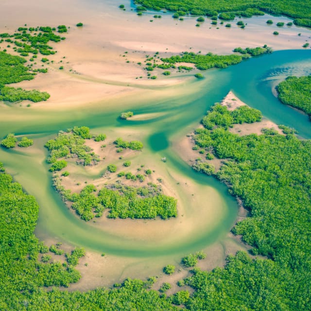 Viaggio di gruppo Senegal