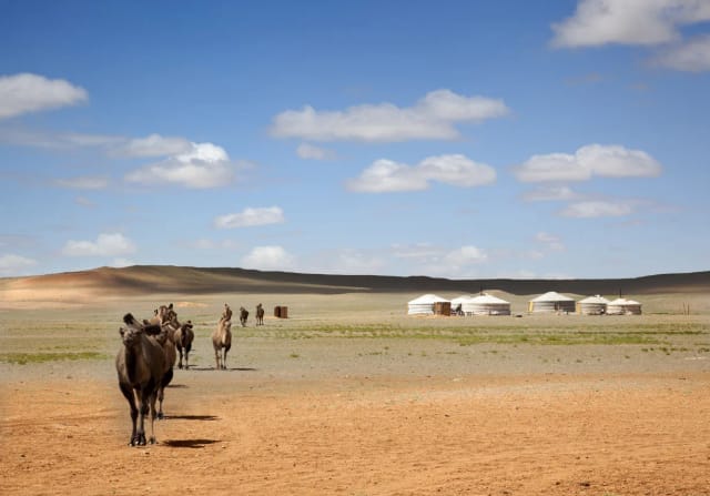 Viaggio di gruppo in Mongolia