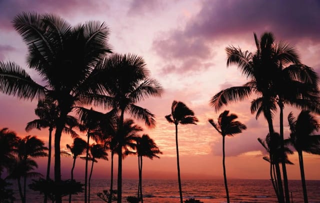 Viaggio alle Hawaii