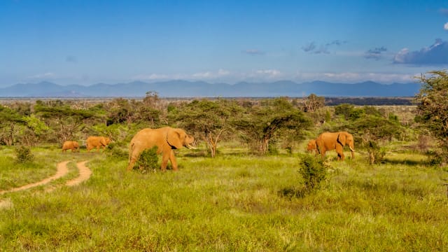 Viaggio in Madagascar