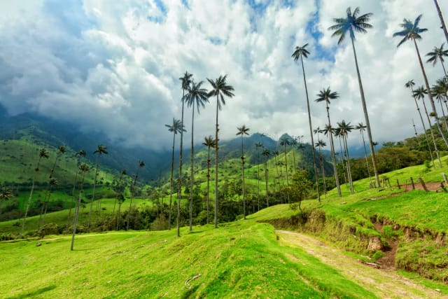 Viaggio in Colombia e Amazzonia