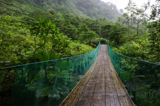 Viaggio di gruppo in Costa Rica
