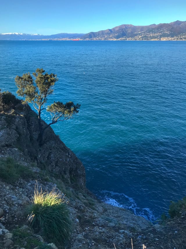 Golfo Paradiso: trekking, cultura, natura e... focaccia!