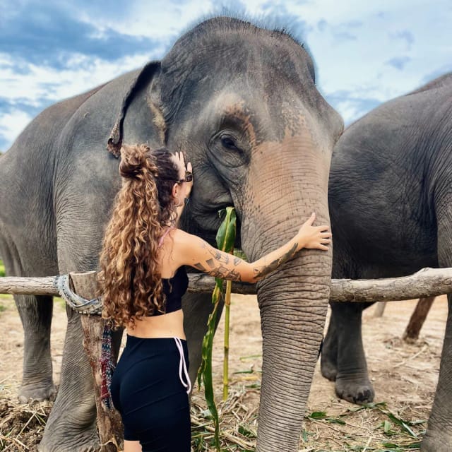 Viaggio di gruppo in Thailandia