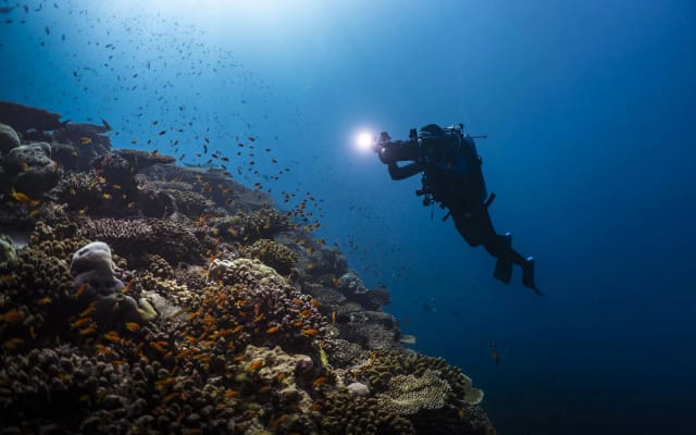 Egitto: crociera nel mar Rosso, diving & snorkeling