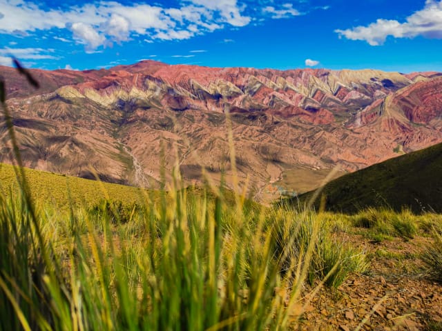 Viaggio di gruppo in Argentina